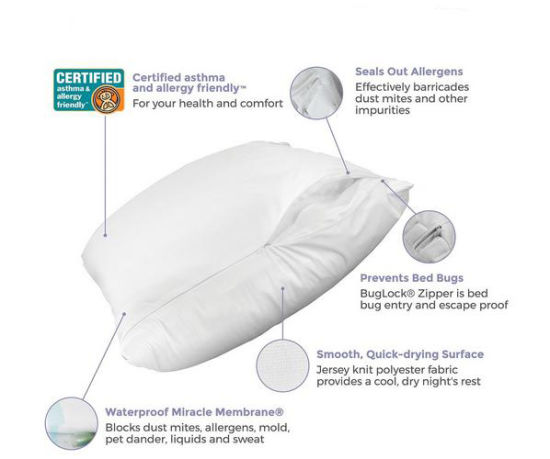 Bedbug Proof/Waterproof Pillow Protector